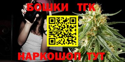 индика Тула