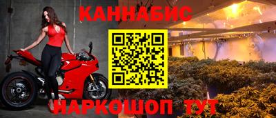 индика Тула